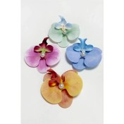 Resim Ronanna Orkide Pens Toka 8 cm 