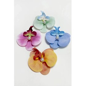 Resim Ronanna Orkide Pens Toka 8 cm 