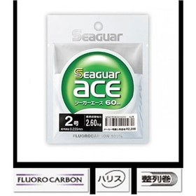 Resim Seaguar Ace %100 Fluoro Carbon Misina 60 Metre Uzun 0.260 mm Kalın Misina 