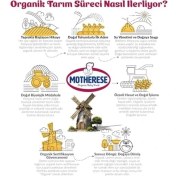 Resim Mena Rise Motherese Organik Çorbalık Tahıl Karışımı 400GR - Motherese Organik Bebek Çorbalık Tahıl Karışımı 400GR 