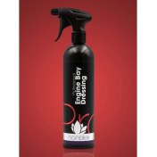 Resim Nanolex Professional Engine Bay Dressing 750ML - Motor Koruyucu Sprey 