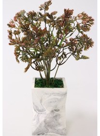 Resim Lüx Vazoda Bonsai Bitkisi Yeşi-turuncu 