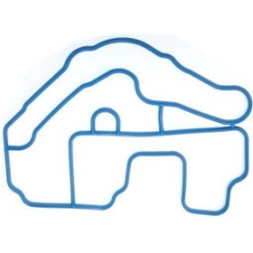 Resim Genel Markalar 8200029741 Renault Megane-laguna 1.6 16v K4m Termostad Yuva Contası (ORJ MAİS) 