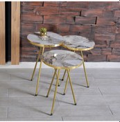 Resim Zigon Sehpa 3'Lü Altın Metal Ayak 2 Renk Seçenekli 