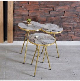 Resim Zigon Sehpa 3'Lü Altın Metal Ayak 2 Renk Seçenekli 