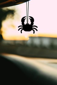 Resim mufamet Metal Yengeç Motifli Dikiz Aynası Süsü Oto Aksesuar Araba Süsü 