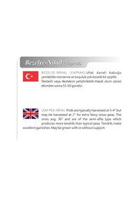 Resim AGRodal Tarım Ata Tohumu Yerli Doğal Yaprak Bezelye 50 Adet Tohum 