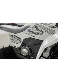 Resim Skyjet 110 cc off-road ATV 