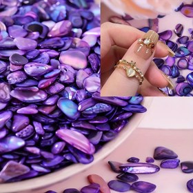 Resim 20g İridisant Mor Kabuk Taşları Tırnak Sanatı Süslemeleri - Reçine Kalıpları için Çok Renkli Oynak Düzensiz Şekilli Taşlar, Kendin Yap Tırnak Tasarımları, Takı Yapımı ve El Sanatları Malzemeleri, Kendin Yap El Sanatları Malzemeleri | Dekoratif Tırnak Parçaları | Doğal Kabuk Malzemesi, Tırnak Sanatı Malzemeleri 