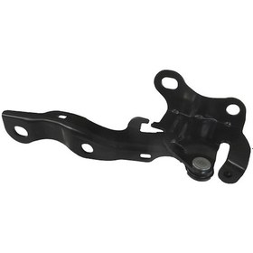 Resim Hyundai I30 07/12 Kaput Menteşesi Sağ Tw 