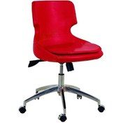 Resim Koltukstilim Latina Deri Bilgisayar Koltuğu Diğer 