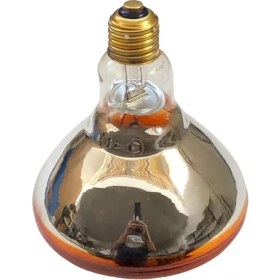 Resim Lidyahan Store Kuluçka Makineleri 150 Watt Infrared Lamba 