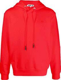 Resim Alexander MCQ Mcq Swallow Patch Hoodie 