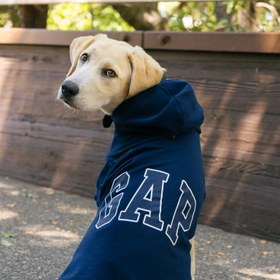 Resim GAP Köpek Hoodie - Siyah / L 