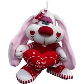 Resim Peluş Sevimli Tavşan Sesli Uzun Kulaklı 25 CM 