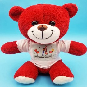 Resim Alifa Toptan Sevimli Çiftler Tişörtlü Kırmızı Ayı 