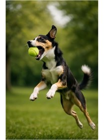 Resim markentegra 2'li Orta Boy Tenis Topu - 7.5 cm, Dayanıklı Oyun ve Eğitim 