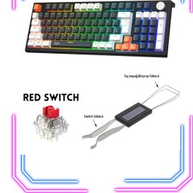 Resim Gameagle MKP98-10 Farklı Rainbow Aydınlatma-Mekanik Gaming Klavye 