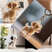 Resim Bir Set Üçüncü Anı İçin Toplama Evcil Köpek Saçları, Her Zaman Sevgili Köpeğinizi Yakın Tutmanızı Sağlar. Anlamlı Bir Şarap. 