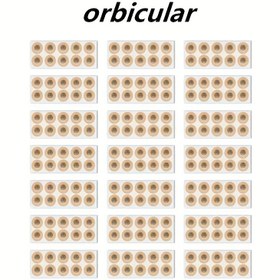 Resim Manyetik Burun Yama - Güçlü Yapışkan, Dayanıklı Malzeme, Rahat Kullanım için Düzgün Tasarım - Sağlık Bakımı İçin Temel Aksesuar, Zarif Ambalaj, Güvenilir Malzeme, Sağlık Tutkunları İçin Olmazsa Olmaz 