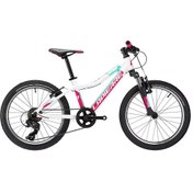 Resim Lapierre Pro Race 20 Jant 7 Vites Alüminyum Çocuk Bisikleti Çok Renkli 
