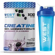 Resim West Nutrition Kreatin Monohidrat 100 Servis Aromalı + Hediye 