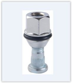 Resim Ayhan A15126 Bijon Saplaması Ve Somunu Takım Hyundai Accent-era-getz Dizel Q13 Fereze 