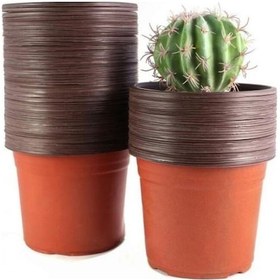 Resim Thermoform Saksı 100 Adet 10.5 Cm 