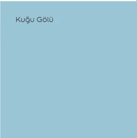Resim Marshall Maximum Mat Silikonlu Kuğu Gölü 7,5 Lt. 10 Kg 