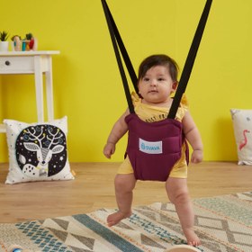 Resim Hoppala Zıpzıp Klasik - Mor 