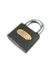 Resim Kale Asma Kilit Gri 20 Mm Kd001/10-120 - 12'li Paket 