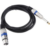Resim Suntek Erkek - Xlr Dişi Ses Kablosu Hoparlör Pc Için Değiştirme 150 CM 