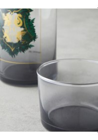 Resim English Home Harry Potter Cam Lisanslı Başucu Sürahi 700 Ml + 220 Ml Renkli 