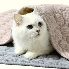 Resim Yumuşak Polyester Evcil Hayvan Yatağı - Kare Şekilli Peluş Dolgulu, Makinede Yıkanabilir, Dayanıklı ve Taşınabilir İç/Dış Mekan Kullanımı (Küçük ve Orta Boy Köpekler & Kediler) 