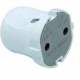 Resim Topraksız Dişi Fiş Mimoza Fiş 