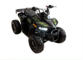 Resim Skyjet 110 Cc Off-Road Atv Siyah 