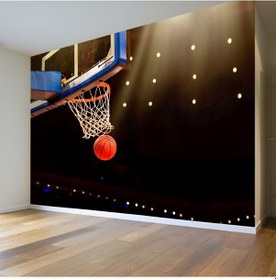 Resim Basketbol Potası Duvar Posteri 