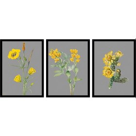 Resim Gri Zemin Sarı Çiçekler Üçlü Çerçeveli Cam Tablo Seti-172095 