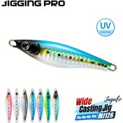 Resim Jigging Pro 20g 30g 40g 60g Gerçekçi Balıkçılık Metal Jig Yavaş Pitch Jigging Jig Yem 