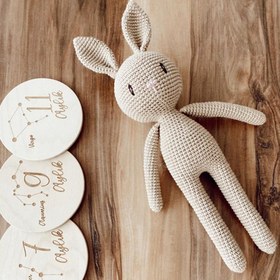 Resim Amigurumi Göz İşlemeli Tavşan Oyuncak 