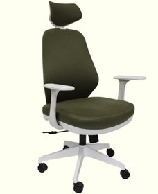 Resim Apex White Pro Yönetici Koltuğu Ofis Koltuğu Yeşil 