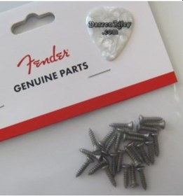 Resim Fender Road Worn Pickguard/control Plate Screws 24 Gitar Yedek Parça 