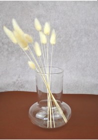 Resim Mantar Cam Vazo 12 Cm- 1 Adet 