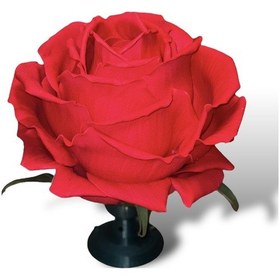 Resim Masa Üstü Lambader Kırmızı Dekoratif Organik Malzeme 