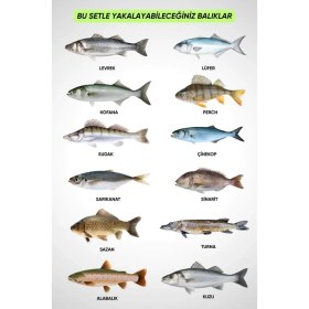 Resim Fishack 35 Parça Tam Takım Olta Seti - 300CM Kamış 40-80GR / 40'lık Makine (Gren) - Tüm Deniz ve Göller Için 