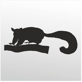 Resim Folyo Sticker Kokarca 60cm Uzunluk Siyah 