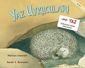 Resim Yaz Uykucuları Yaz Uykusuna Yatan Hayvanlar 