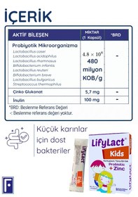 Resim Lifylact Kids Probiyotik+Zinc Takviye Edici Gıda 2 x 10 Şase 