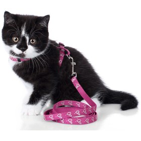 Resim Laura Kedi Göğüs Tasması ve Kayışı - Pembe 