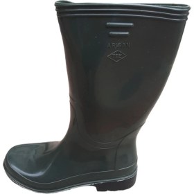 Resim Arısan Uzun Çizme 